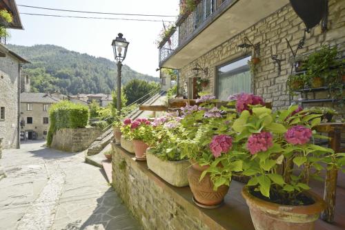 a group of potted plants on the side of a building at Locanda Senio in Palazzuolo sul Senio