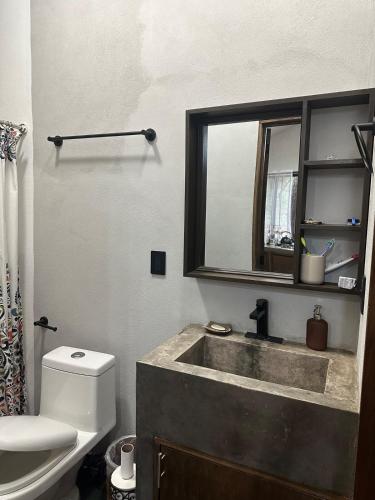 a bathroom with a sink and a toilet and a mirror at Cabaña en Villa del carbón in Villa del Carbón