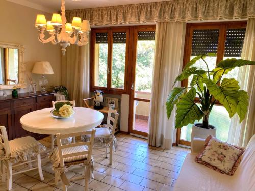 a kitchen and dining room with a table and a plant at Casetta in Versilia in Viareggio