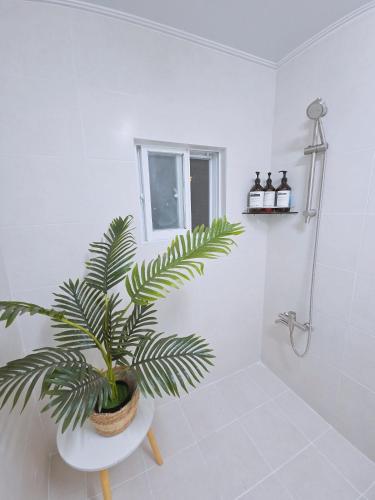 a bathroom with a potted plant sitting on a table at G Hotel near Busan Station in Busan