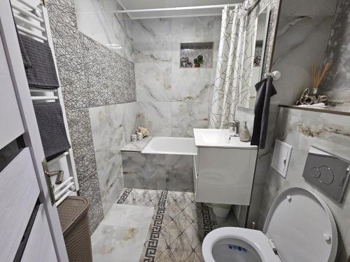 プロイェシュティにあるChique Apartamentのトイレと洗面台のあるバスルーム