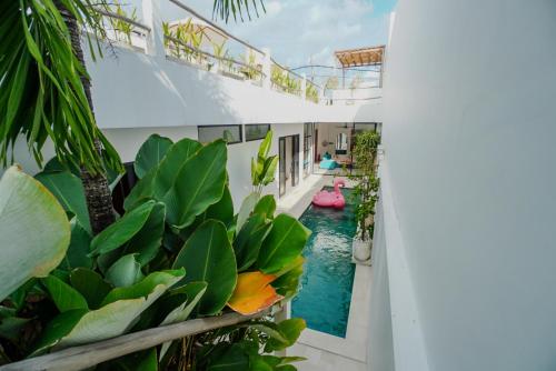 タナロットにある'Villa Vivid' 2BR Bohemian, 5 min to Kedungu Beachの植物の家の中庭のプール