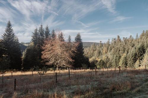 a fence in a field with trees in the background at Refuge panoramique en Haute-Loire in Saint-Julien-Molhesabate