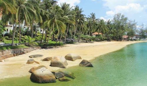a beach with rocks in the water and palm trees at Nongsa Point Marina in Nongsa