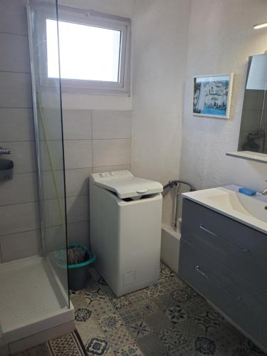 a bathroom with a shower and a toilet and a sink at la Catalane in Vernet-les-Bains