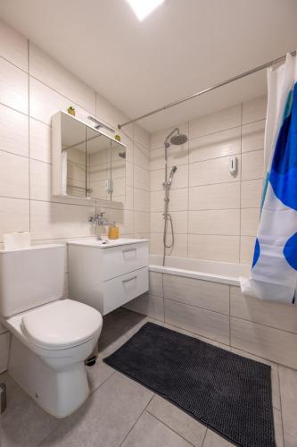 Bright Apartment in Thun, 50m to Lake Free Parking