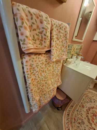 a bathroom with a towel hanging on the wall next to a sink at Appartement de charme plein centre in Libourne