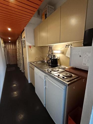 a small kitchen with a stove and a sink at À deux pas des pistes in Aragnouet