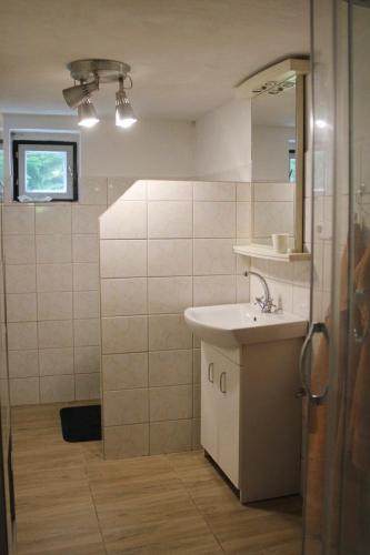 a bathroom with a sink and a mirror at Chata na Bunči in Roštín