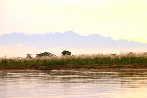 Chitwan Jungle Safari Home Stay