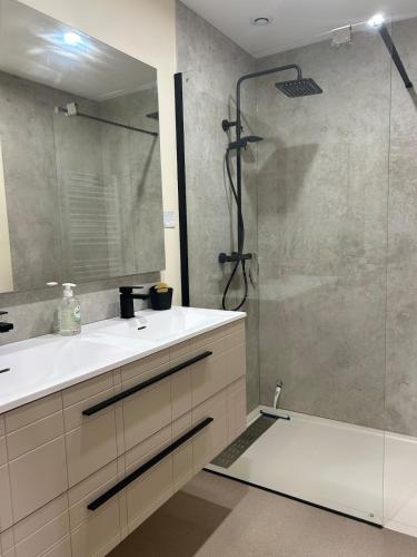 a bathroom with a shower and a sink and a mirror at Le Cabanon de L'Arbey in Pierrefitte-Nestalas