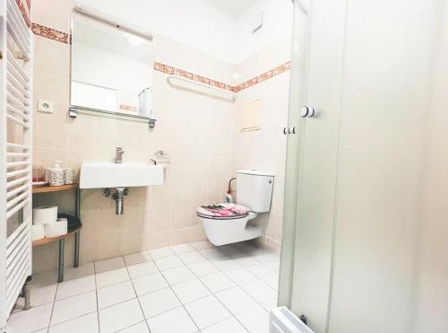 a bathroom with a toilet and a sink at Apartmán SKOK in Harrachov