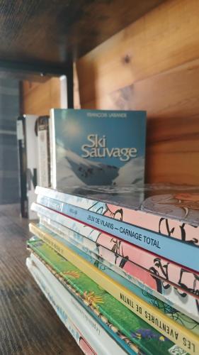 a stack of books sitting on a shelf at Gîte Ancolie Bleue in Abriès