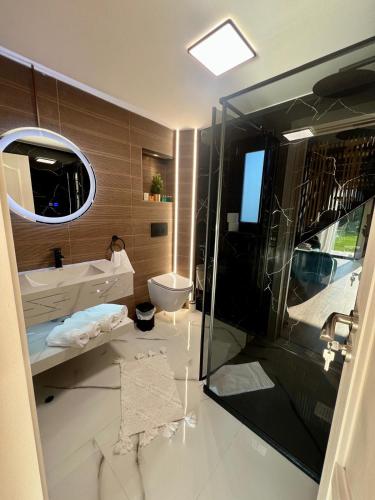 a bathroom with a shower and a sink and a toilet at Zago Alpin in Câmpulung Moldovenesc