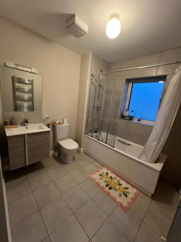 a bathroom with a shower and a toilet and a sink at Happy Place in Navan