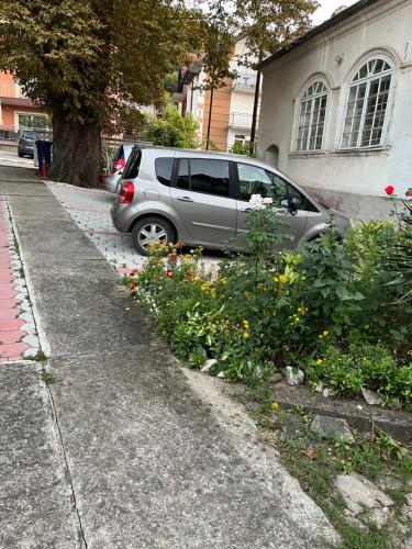 Fotografie z fotogalerie ubytování Apartmani Didić v destinaci Soko Banja