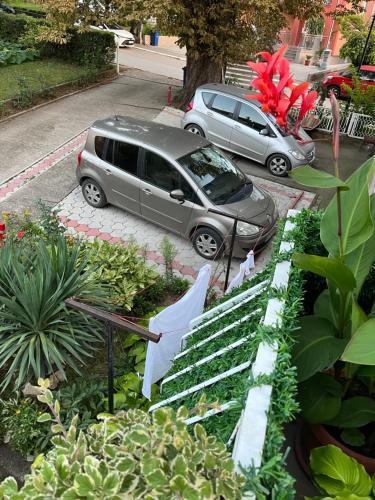 Fotografie z fotogalerie ubytování Apartmani Didić v destinaci Soko Banja