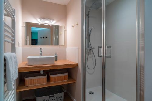 a bathroom with a sink and a shower at Le Méaban - Au cœur de Vannes in Vannes
