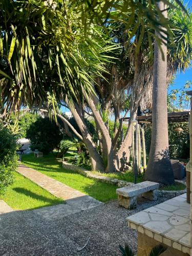 a park with two benches and palm trees at Terra Di Mare in Vignacastrisi