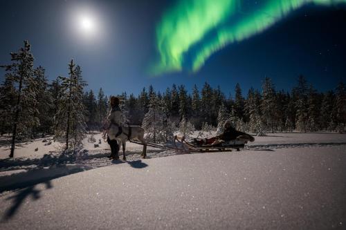 twee mensen rijden op een slee onder het noorderlicht bij Lapland Aurora Riverside in Raiskio