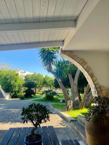 a view of a patio with a palm tree at TERRA DI MARE LOC. TURISTICA in Vignacastrisi