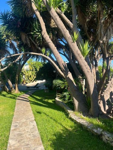 a garden with palm trees and a walkway at TERRA DI MARE LOC. TURISTICA in Vignacastrisi