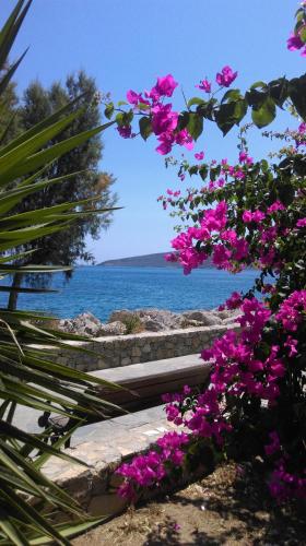 a view of the ocean and pink flowers at Boutique Hotel Tilos Mare in Livadia