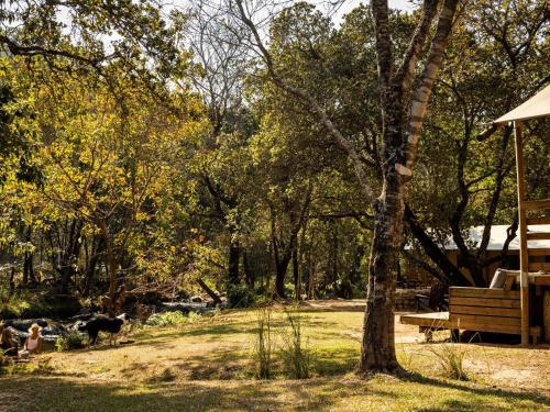 un parco con panchina, albero e alberi di AfriCamps at Mackers a Hazyview