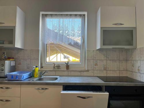 Kuchyň nebo kuchyňský kout v ubytování Apartman Mira