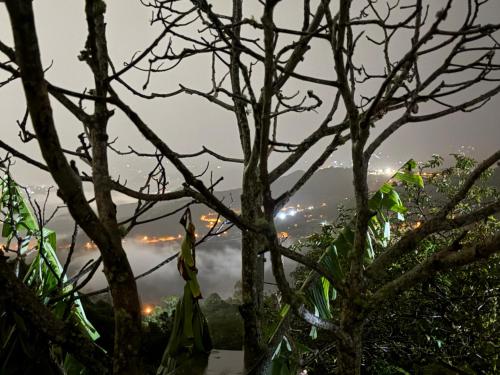 a view of the city through the trees at El Rincón De Las Guacharacas in Cali