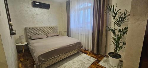 SremčicaにあるApartman Tajnaの小さなベッドルーム(ベッド1台、植物付)