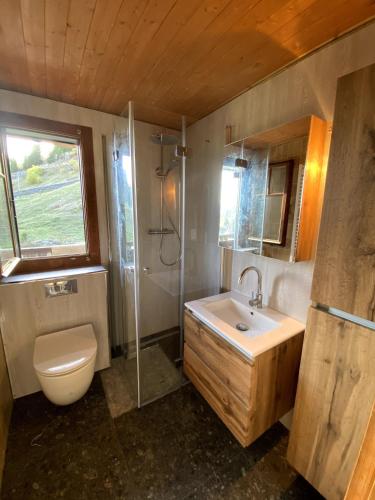 a bathroom with a toilet and a sink and a shower at Chalet La Marmotte 1800m in Ollon
