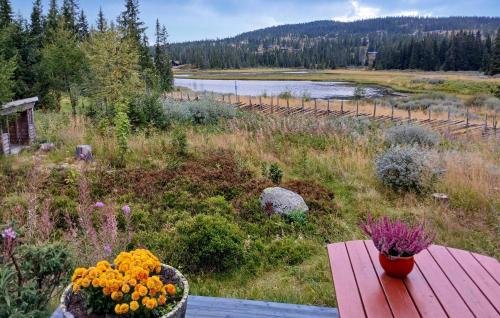 a picnic table with flowers on it next to a river at Awesome Home In Lillehammer With Sauna in Lillehammer