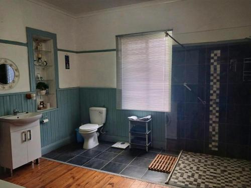 a bathroom with a shower and a toilet and a sink at Karoo Rust Victoria West in Victoria West