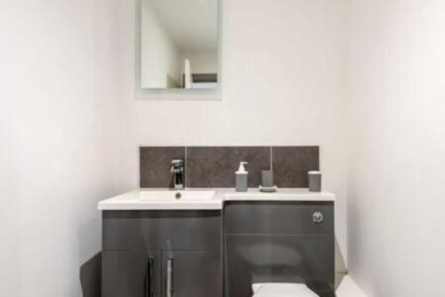 ハルにあるModern 2BR Haven in Hull City Centerの洗面台と鏡のあるバスルーム