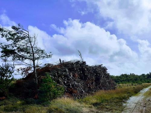 a pile of wood on the side of a dirt road at Luxury Retreat with Pool - By Traum Ferienwohnungen in Øster Vrøgum