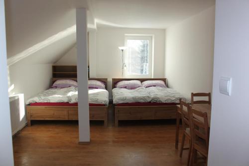a bedroom with two beds and a window at Horská chata Hubertus in Albrechtice v Jizerských horách
