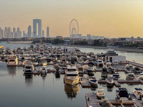 Amazing Views of Palm & Dubai Eye Stylish Studio