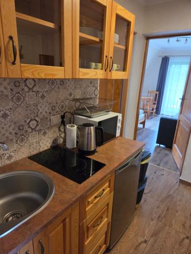Η κουζίνα ή μικρή κουζίνα στο Apartament II Chochołów 162c