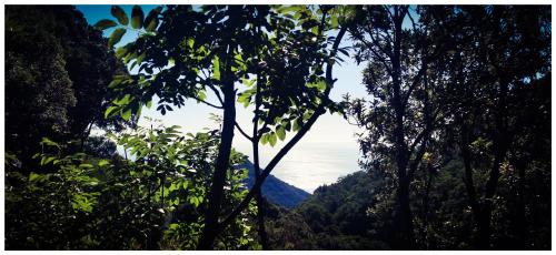 Sans Murs Dans la Nature