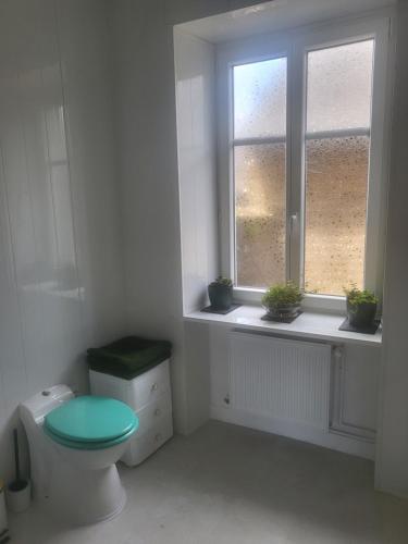 a bathroom with a green toilet and a window at Cozy Apartment in Fougerolles du Plessis in Fougerolles-du-Plessis
