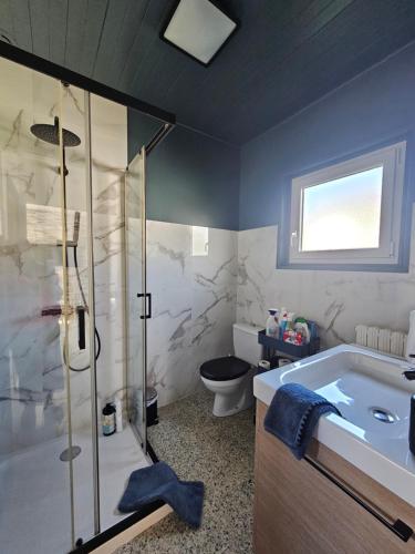 a bathroom with a shower and a tub and a toilet at Maison T2 avec jardin à Bidart proche de toutes commodités in Bidart
