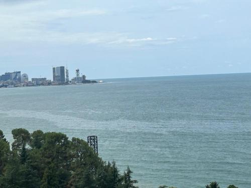 Gallery image of Светлый и комфортный номер с видом на море in Batumi