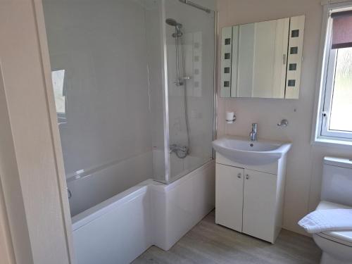 a bathroom with a sink and a shower and a toilet at Woodland Lodge - 2 Bedroom Spacious Lodge Sleeps 4 in Hastings