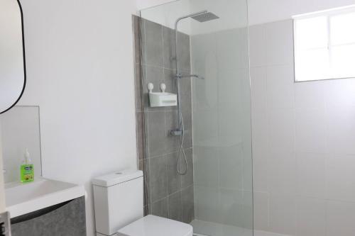 une salle de bain avec une douche avec des toilettes et un lavabo dans l'établissement Eshae Living - Cosy 2BR with breakfast & pool, à Stanmore Grove