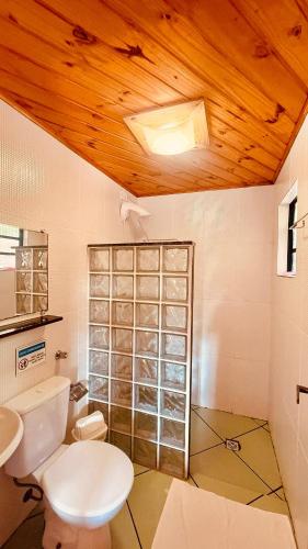 a bathroom with a toilet and a sink at Pousada Pinhalense in Santo Antônio do Pinhal