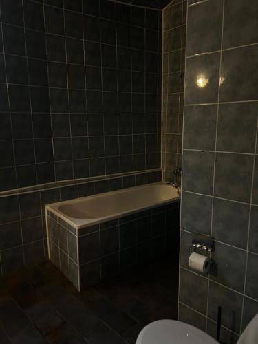 a bathroom with a bath tub and a toilet at Nostra Cultura Zamek Bierzgłowski in Zamek Bierzgłowski