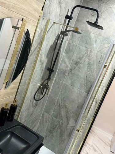 a shower with a glass door in a bathroom at Royal Apartament in Gniezno