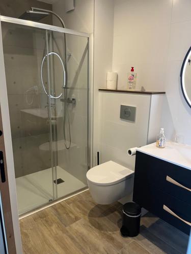 een badkamer met douche, toilet en wastafel bij Centre de la Solitude du Sauveur in Le Mans