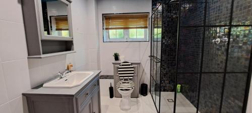 ハンティンドンにあるSizeable 4 bed property on Huntingdon Ring roadのトイレ、洗面台、シャワー付きのバスルーム
